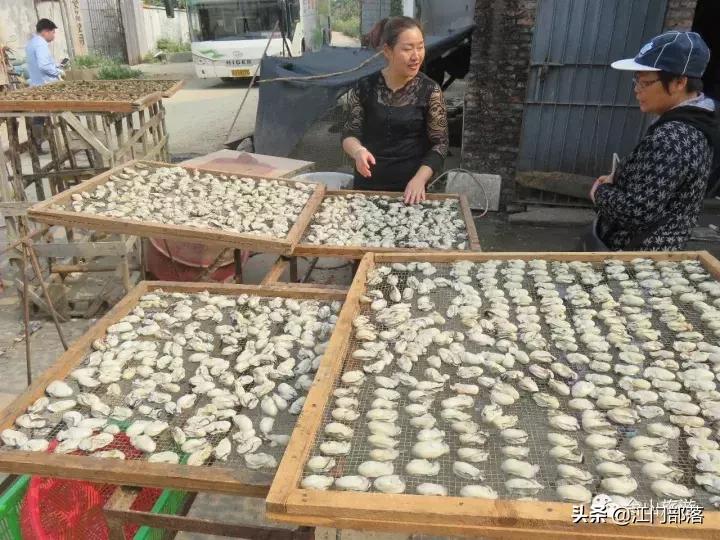 广东美丽台山,美丽台山