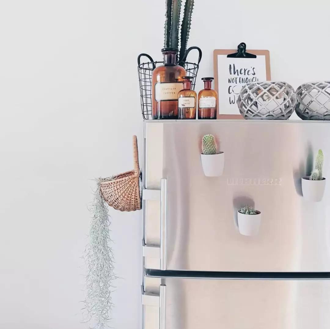 家庭药瓶花瓶插花教程,药瓶子插花