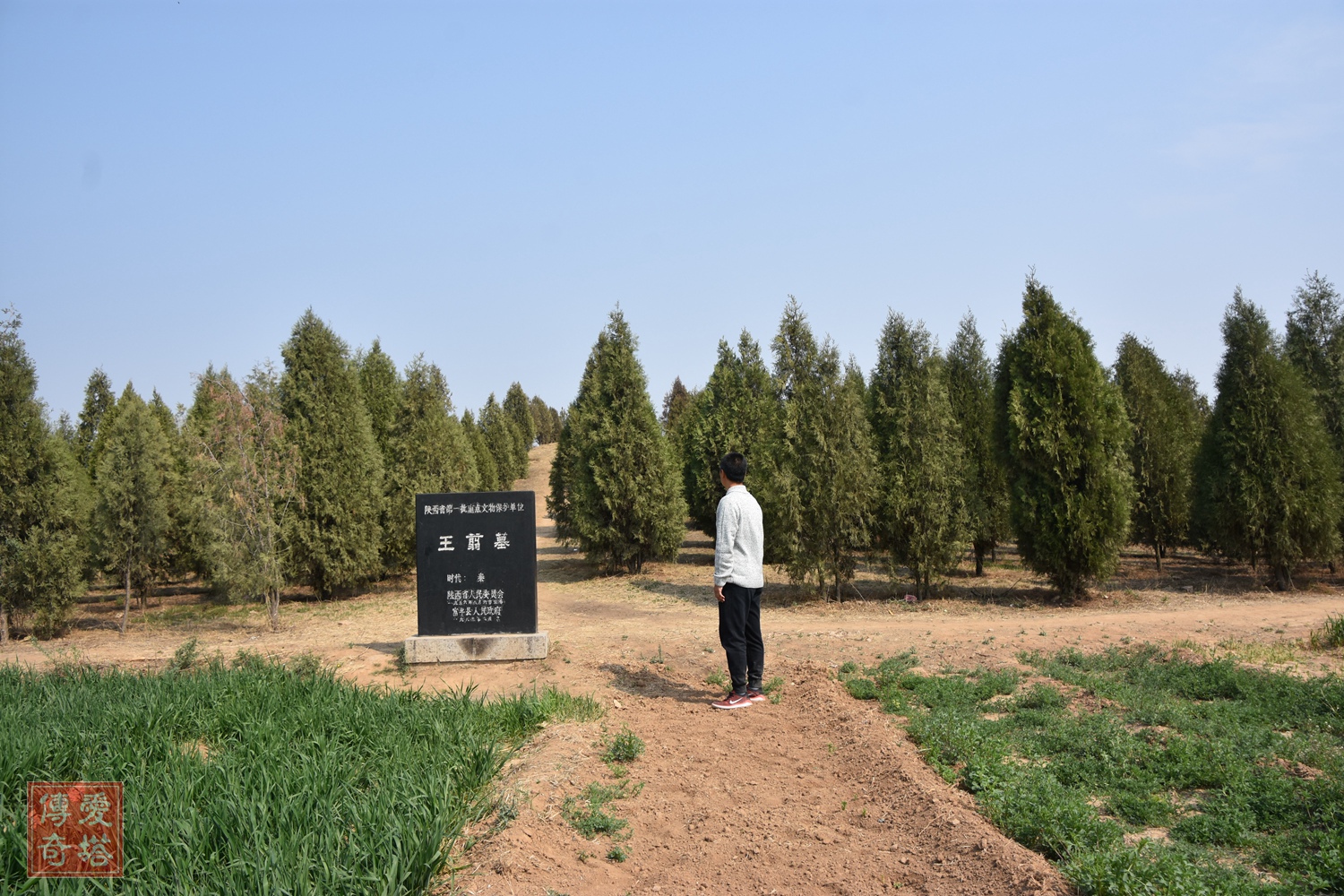 2020年经典电视剧有哪些,2020年将要播出的电视剧有哪些