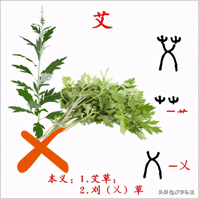 大语文大在哪？汉字思维是什么？以“夜未艾”的“艾”作例讲开去