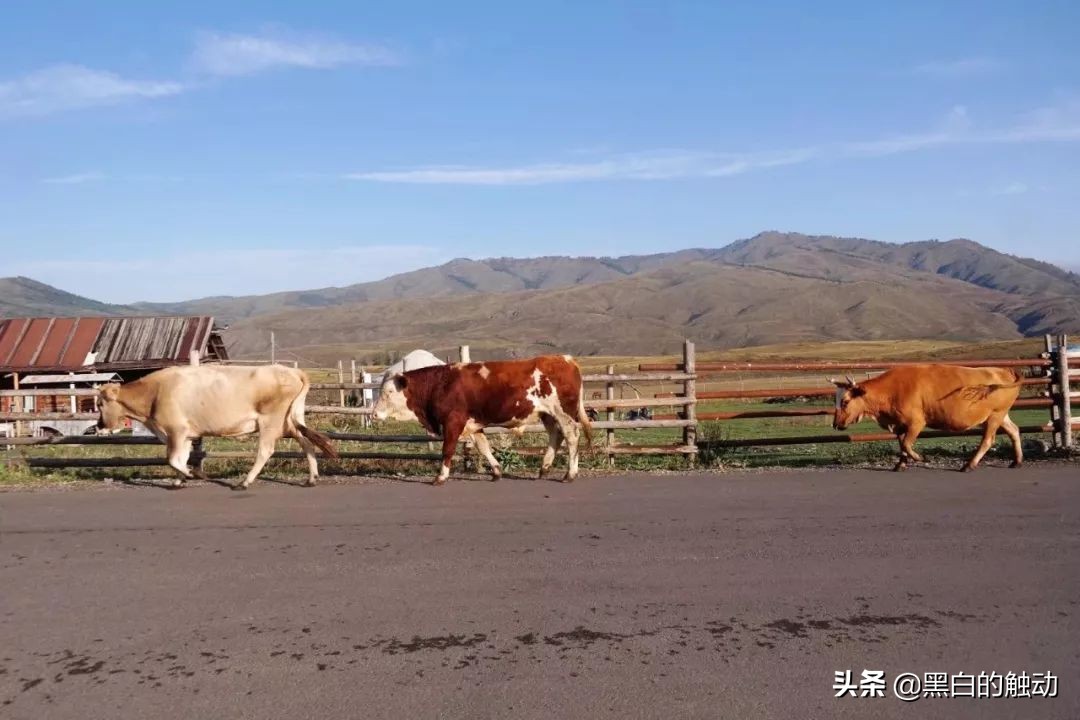 都说新疆好去新疆发展可靠么,都说新疆好地方