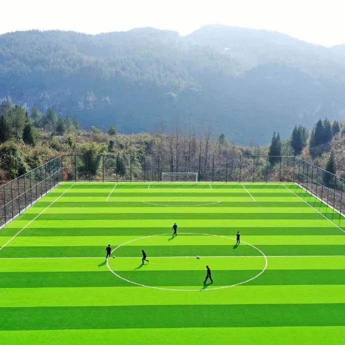 重庆真的火到国外了吗,重庆将建设专业足球场