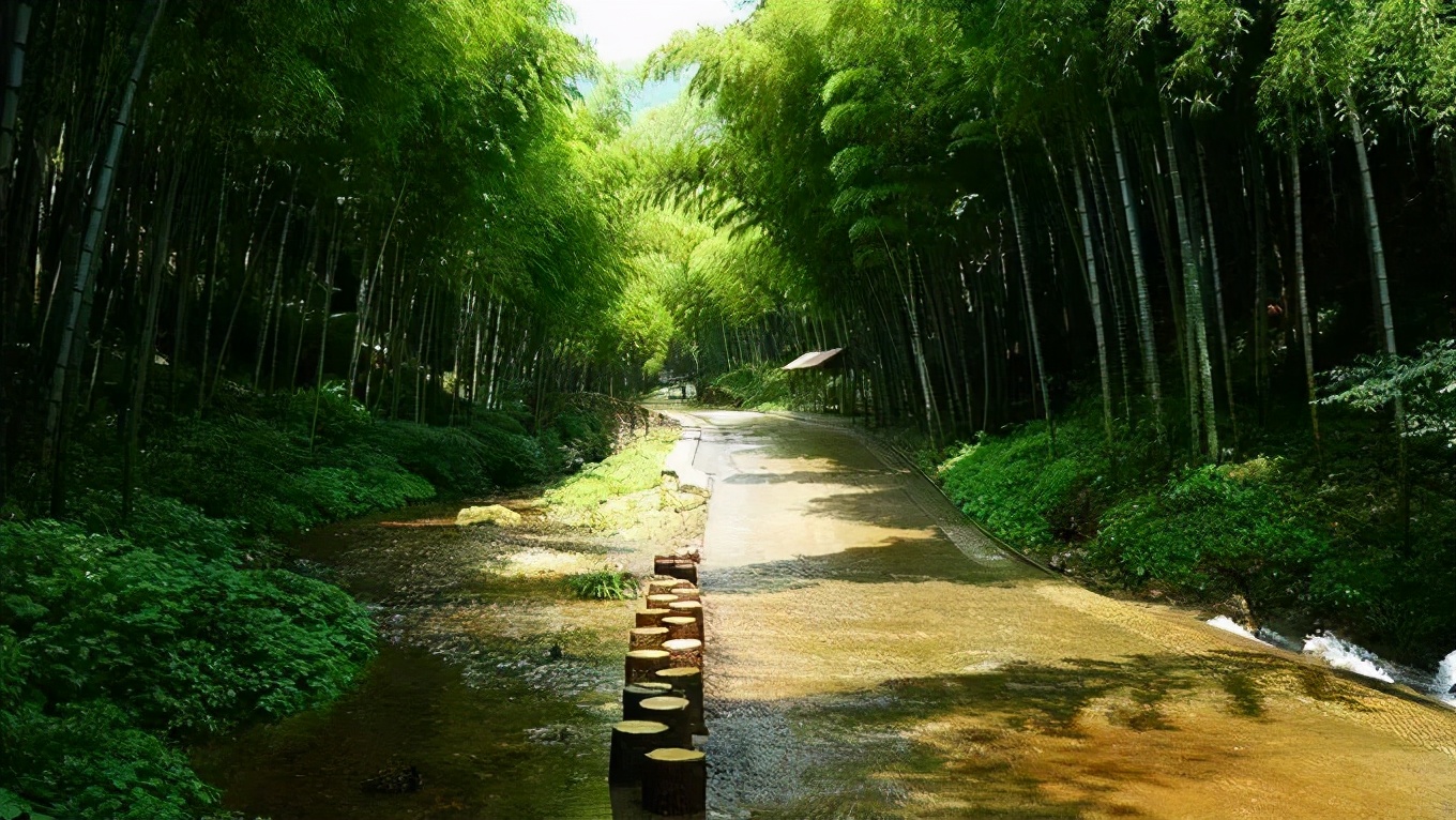 带着狗子旅行推荐,带着狗狗游新疆