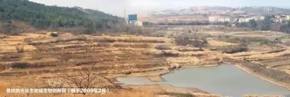 光谷有个海归群，密码“3551”