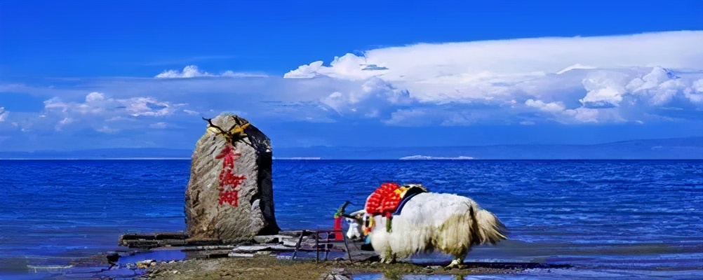 这就是中国——中华地理历史概览