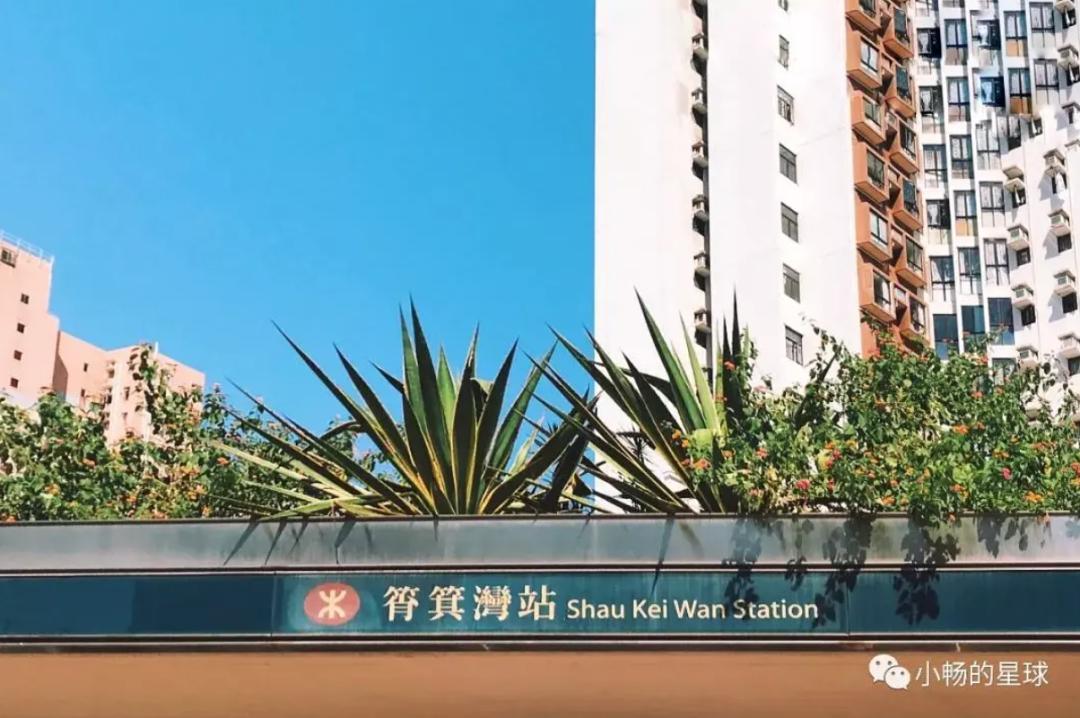 喜宝被老头打后续,喜宝喜欢石澳岛吗