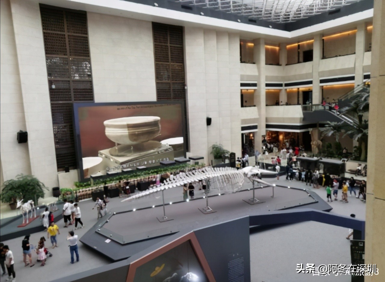 深圳一日游必去的十个免费景点,深圳一日游必去十大网红景点