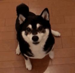 儿童游乐场利润大吗,儿童游乐园利润分析