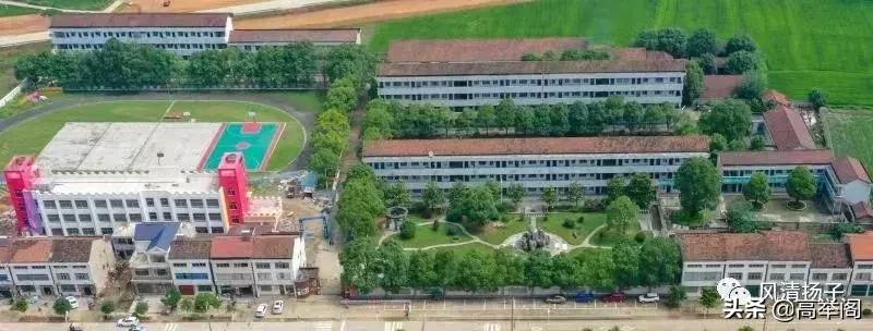 系列散文——李淑孟:我们的学校是花园(之二十)