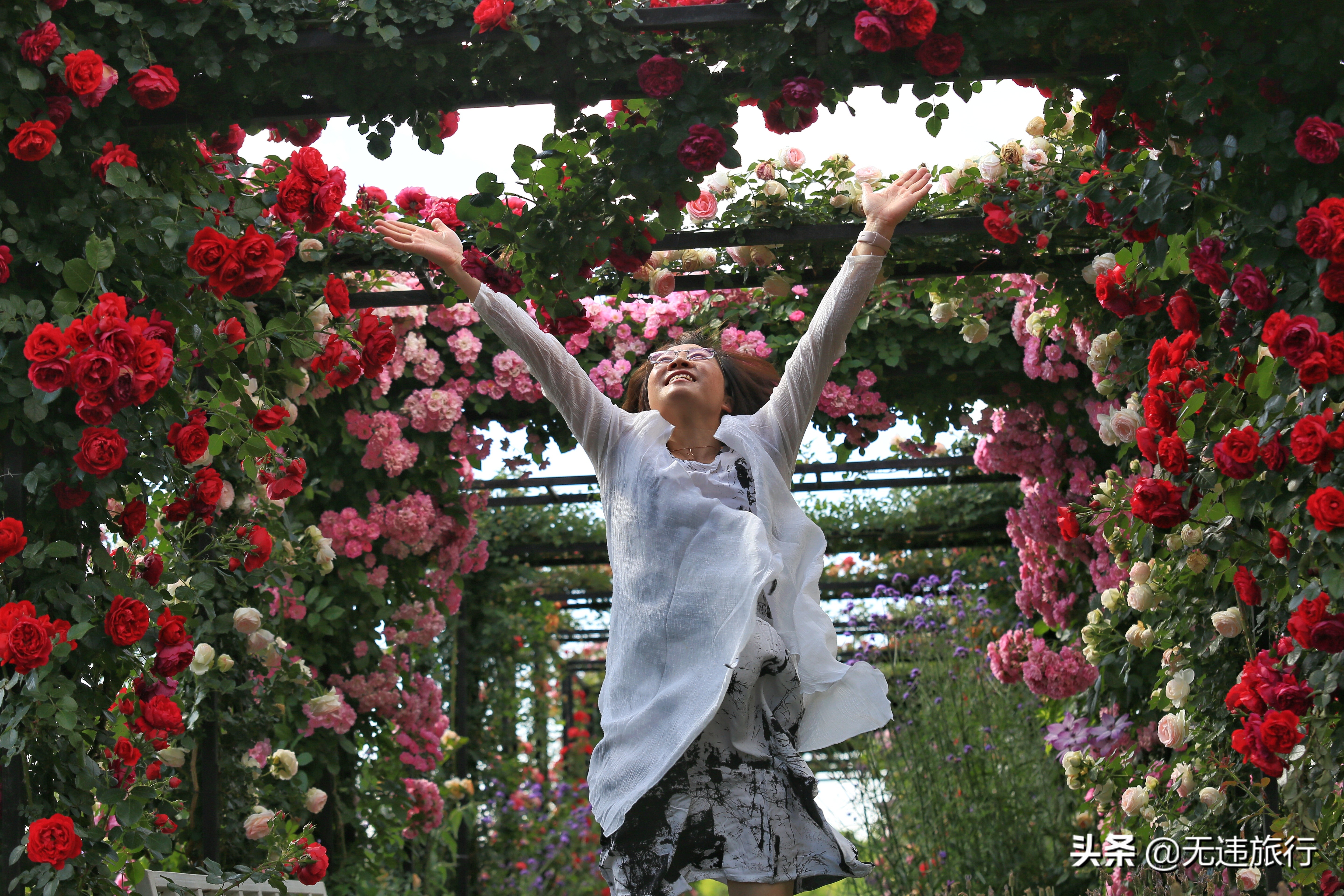 大理网红打卡地草场,大理网红打卡地猫米花园