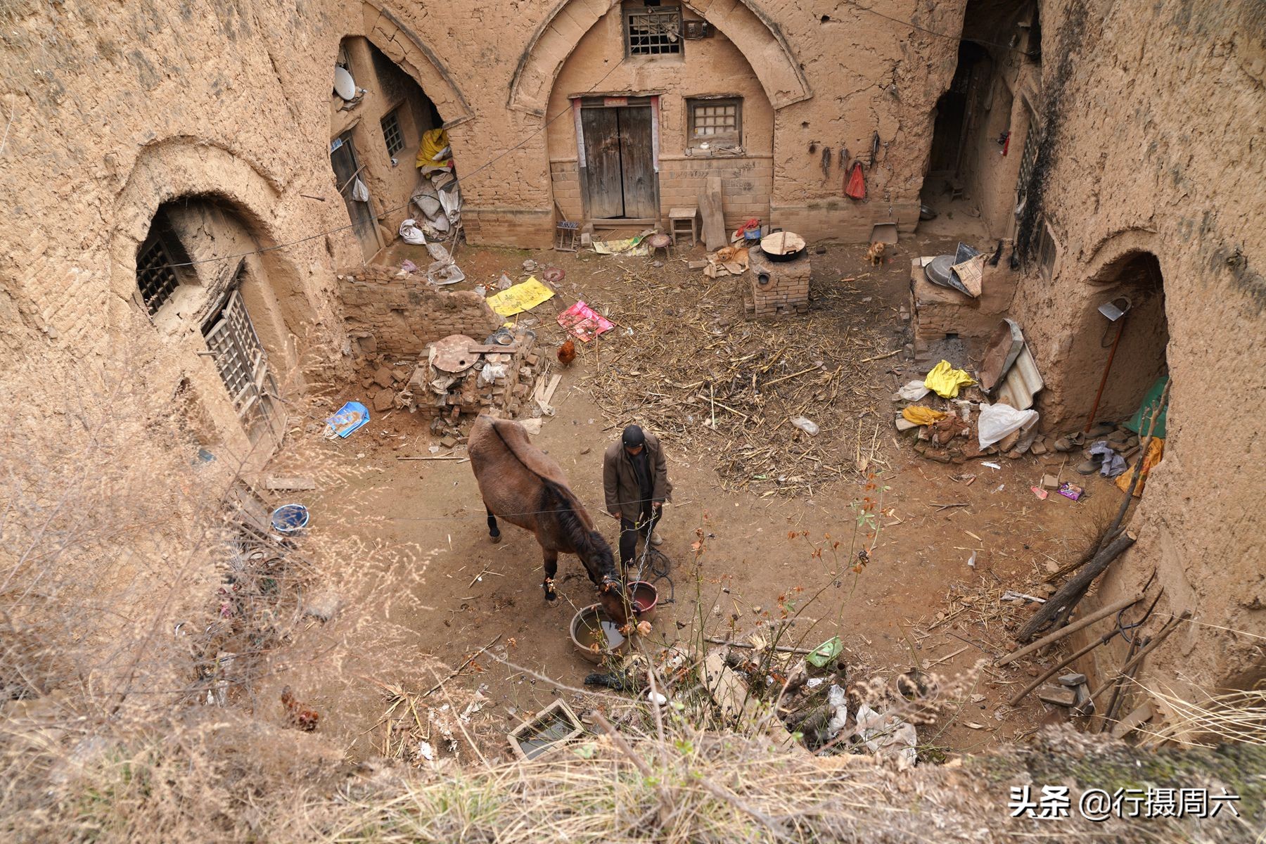 农村老汉养8只狗,农村大爷养小宠物