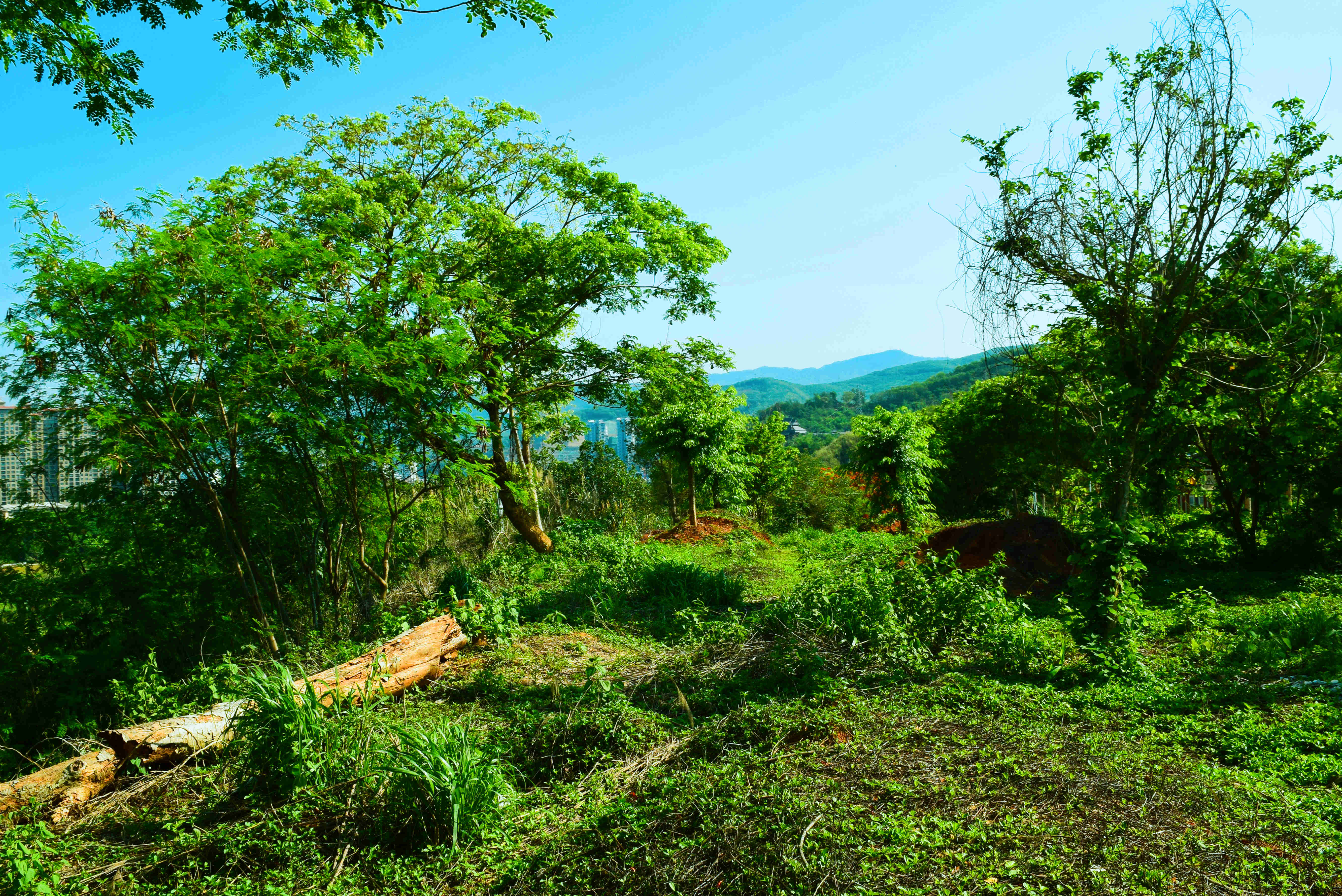 云南西双版纳市区全景航拍,航拍讲解整个西双版纳