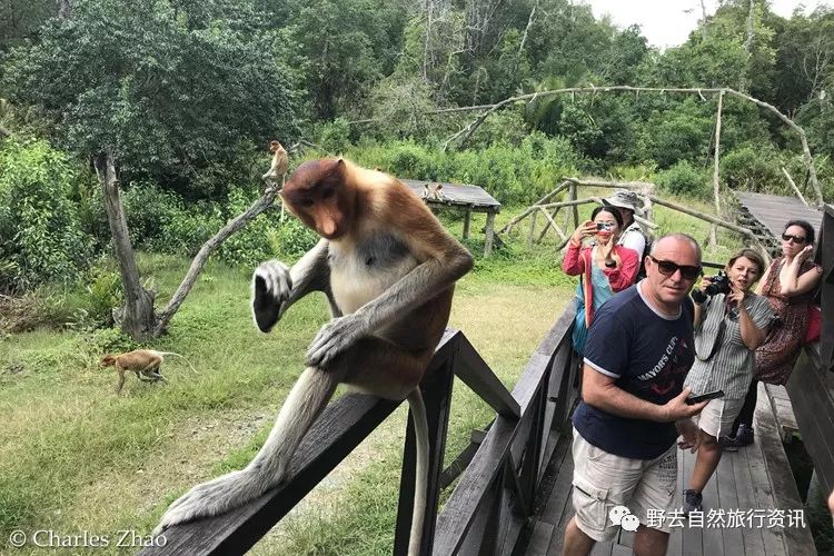 希望疫情早点结束能陪孩子多走走,待疫情彻底过去