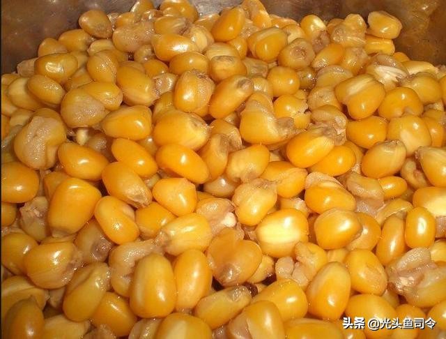 野钓打窝如何记住打窝位置,野钓打窝几种方法