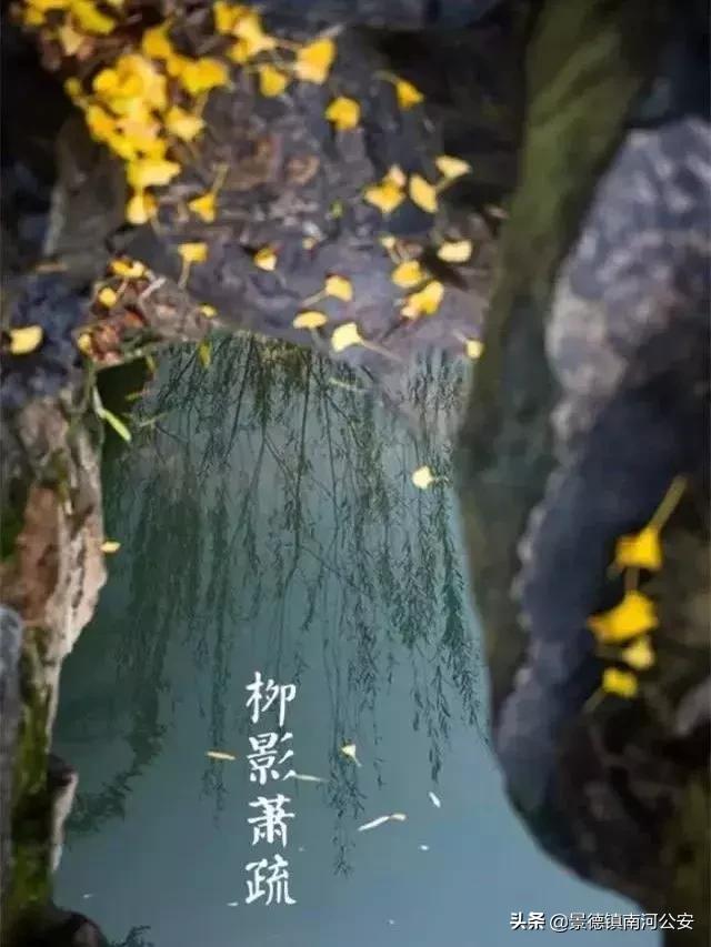 诗词丨33首名作,尽现大唐荣耀289年
