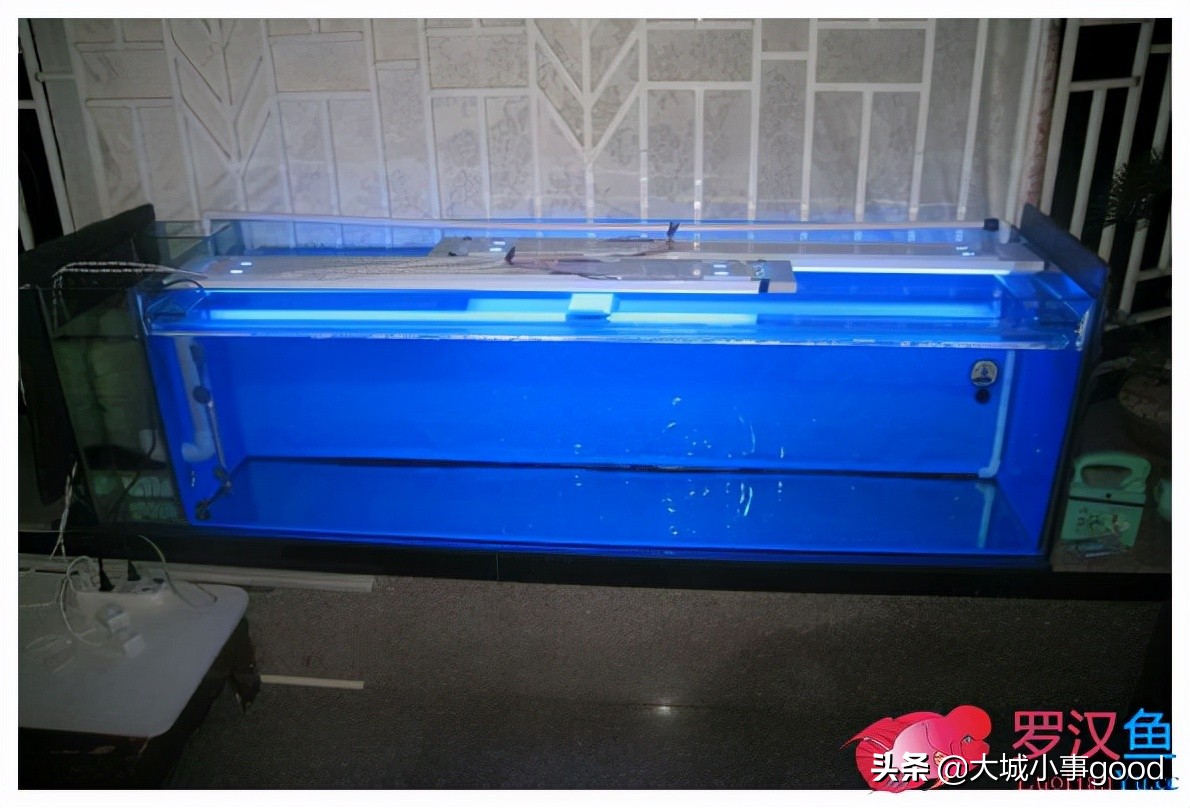 鱼缸过滤系统的基础解析,鱼缸过滤桶过滤原理