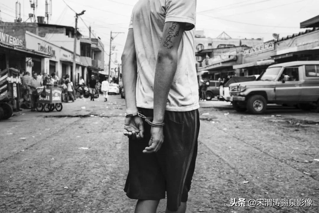 ipa国际动态摄影大赛获奖作品,2020年ipa摄影奖获奖作品