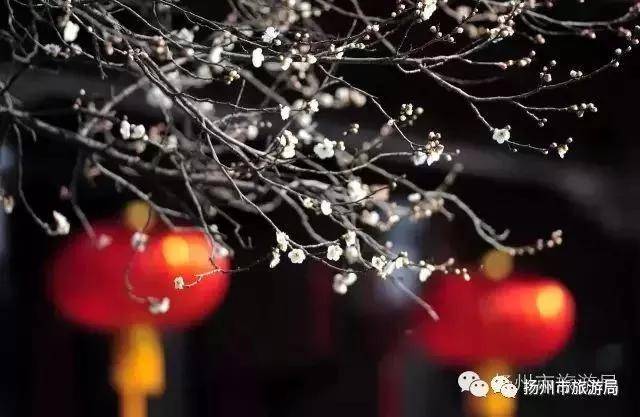 扬州冬天的感觉,有一种冬天叫做哈尔滨