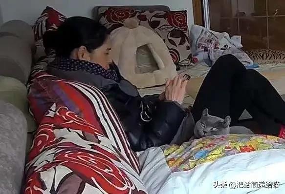 兔耳朵猫：我那么努力，就是为了能跟你永远在一起