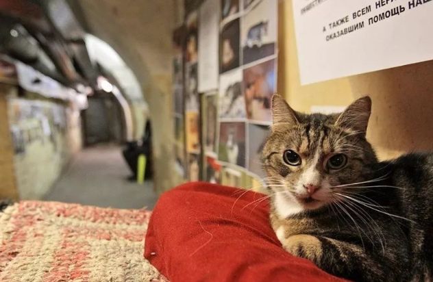 盘点俄罗斯人的彪悍时刻,30条关于俄罗斯的日常