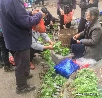 农闲时除了喝酒打牌,还可以做这些项目,收入高且长期有收入