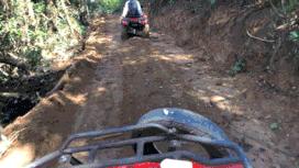 无法离昆,就地过年!昆明亲子游推荐路线重磅来袭!花样过牛年