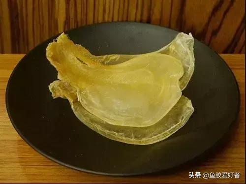 鱼胶网红推荐,鱼胶蜘蛛胶回收多少钱