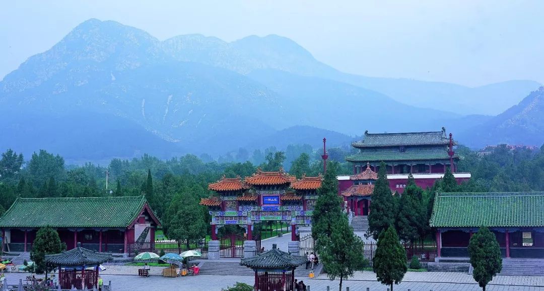 老家河南抖音,老家河南央视宣传片