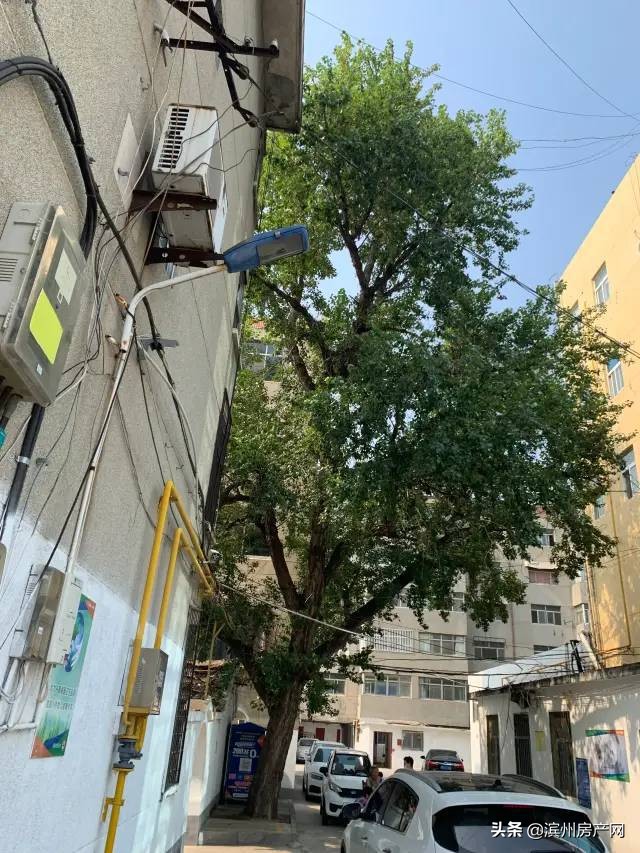 滨州金属小区拆迁,再见了滨州的视频