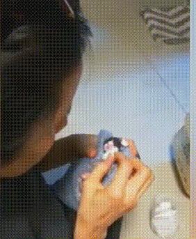 流浪猫生下小猫不见了,流浪猫生孩子时被人发现