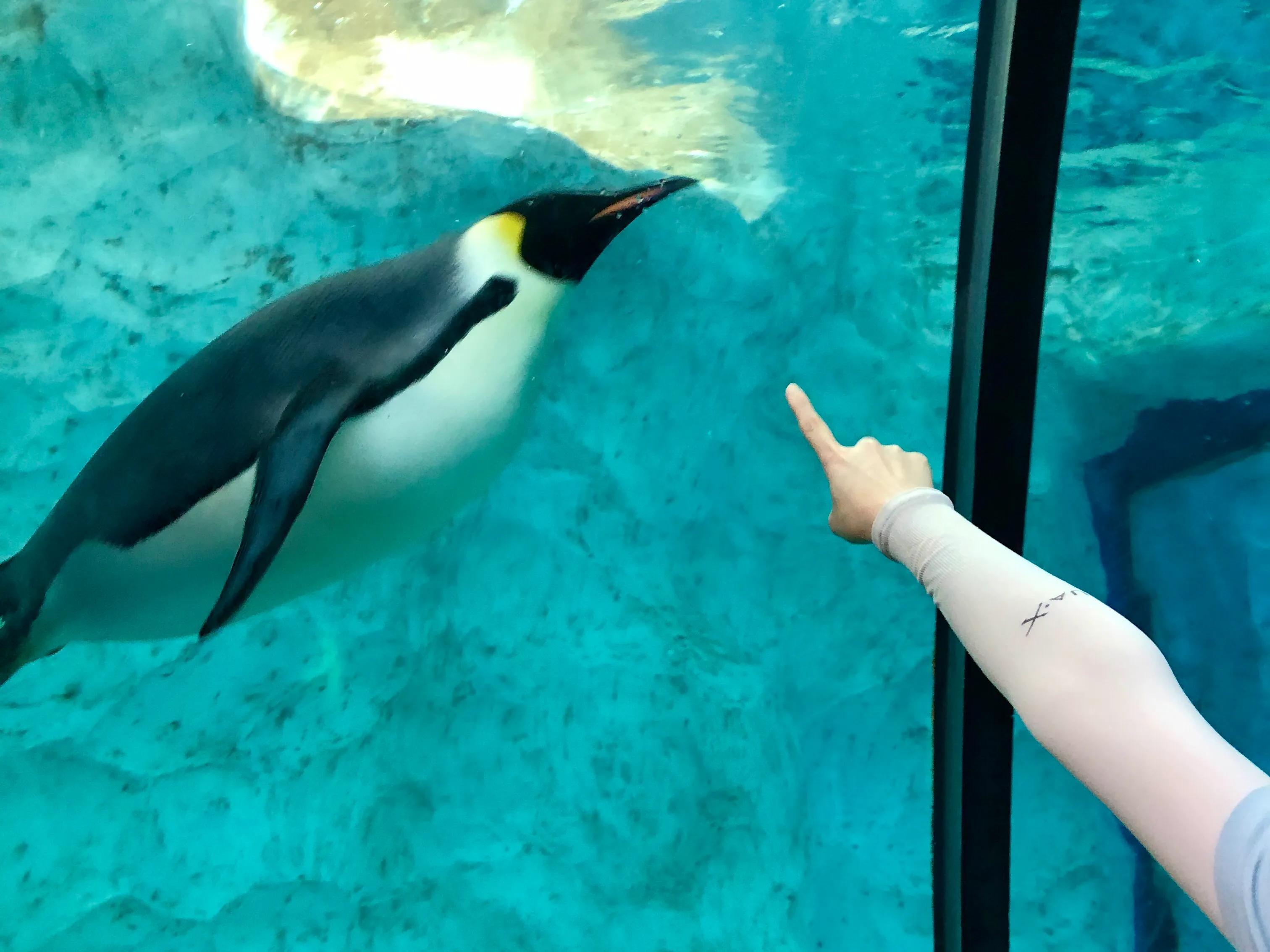 珠海长隆游玩攻略和时间,一月珠海长隆游玩攻略三天两晚