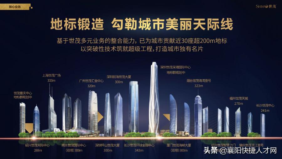 世茂集团华南区域公司营销负责人,合肥世茂地产开发有限公司负责人