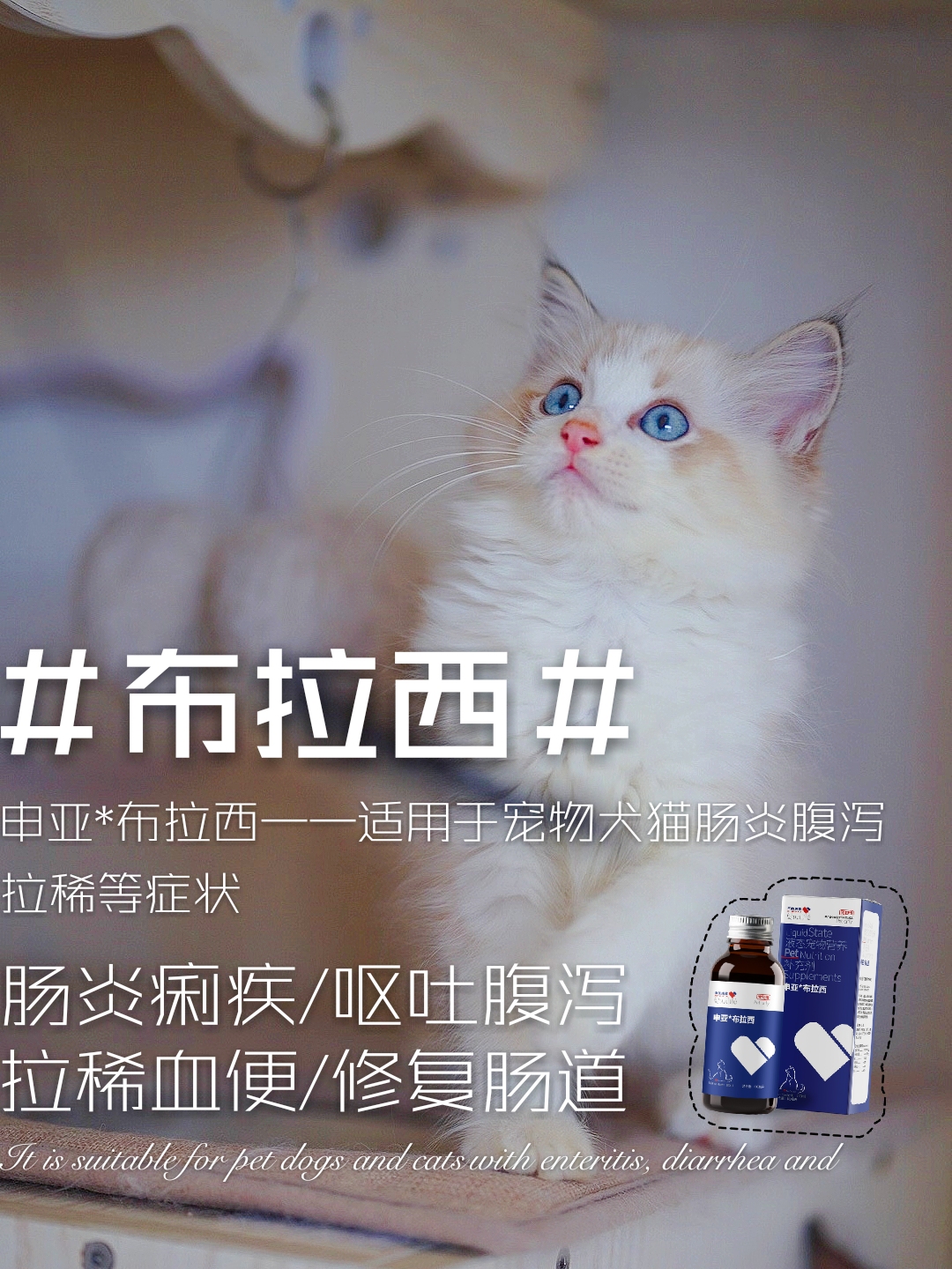 幼猫拉稀可以用氟哌酸吗,幼猫拉稀吃土霉素