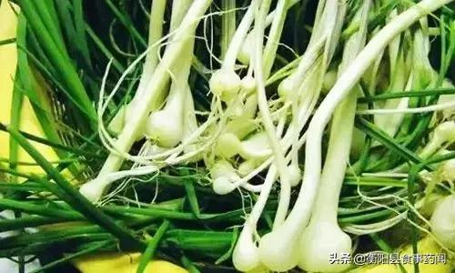 衡阳市食品安全监管局,衡阳县食品安全监管