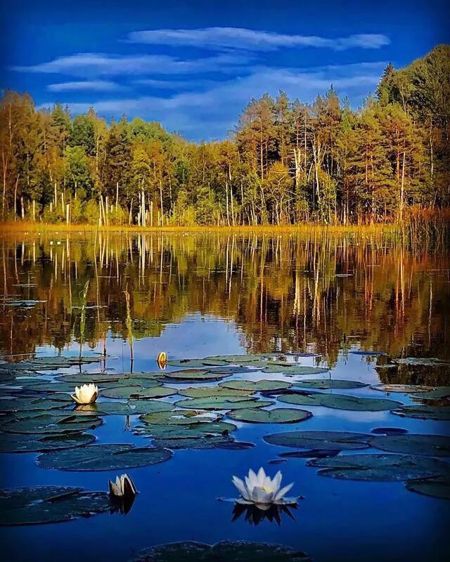 久违的蓝天白云图,看到蓝天白云心情就莫名的好