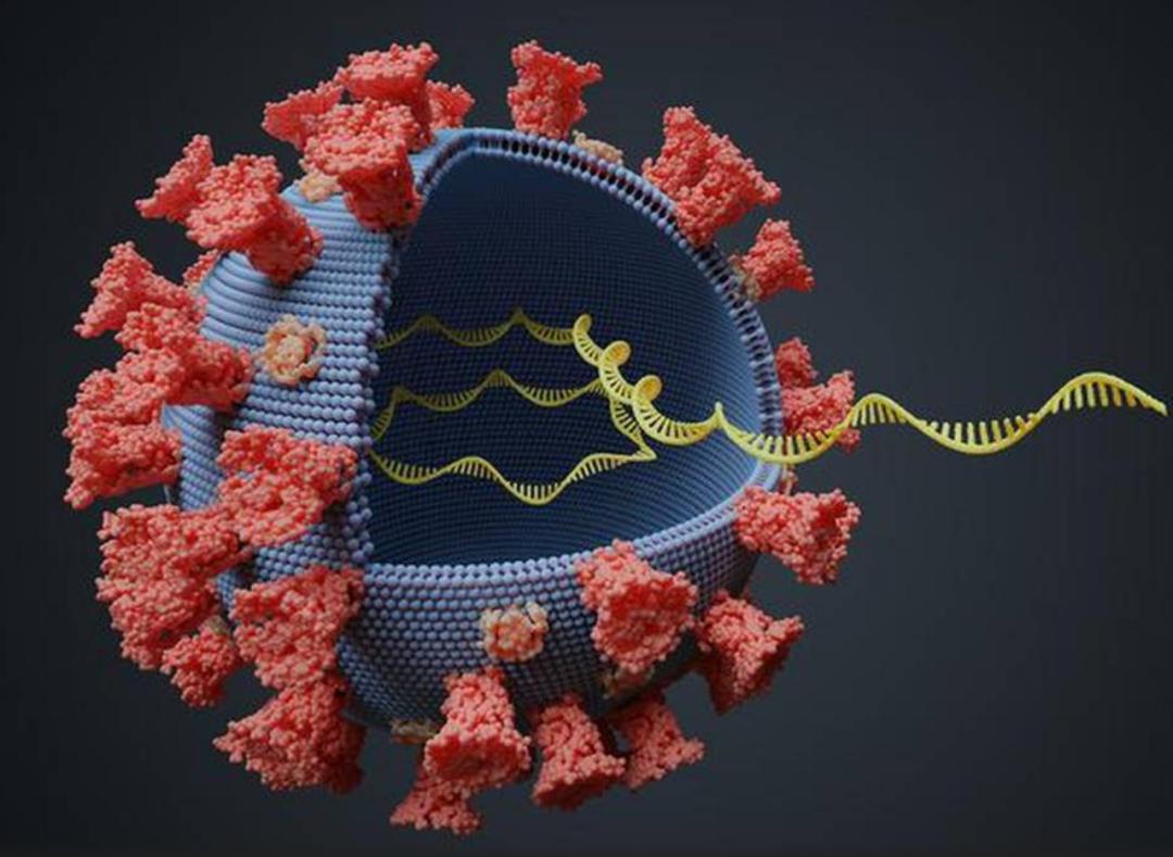 货币战争是怎么打起来的,货币战争开始普通人如何自保