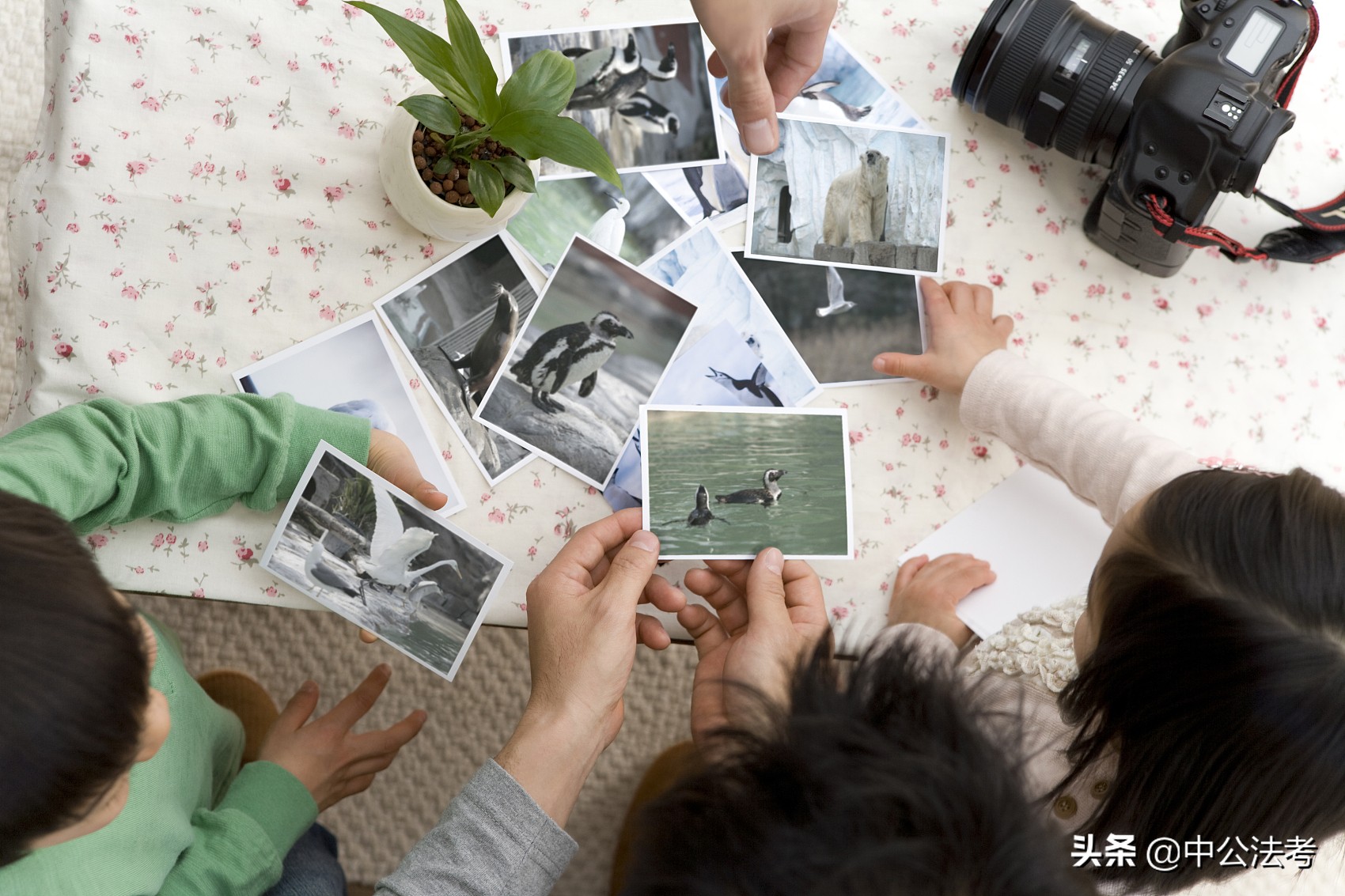 法学哪个专业就业前景好一点,法学类专业和法学专业有什么区别