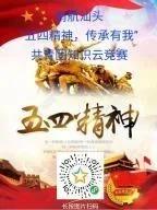 制度自信团支部主题团日活动,青春战疫勇担当主题团日活动