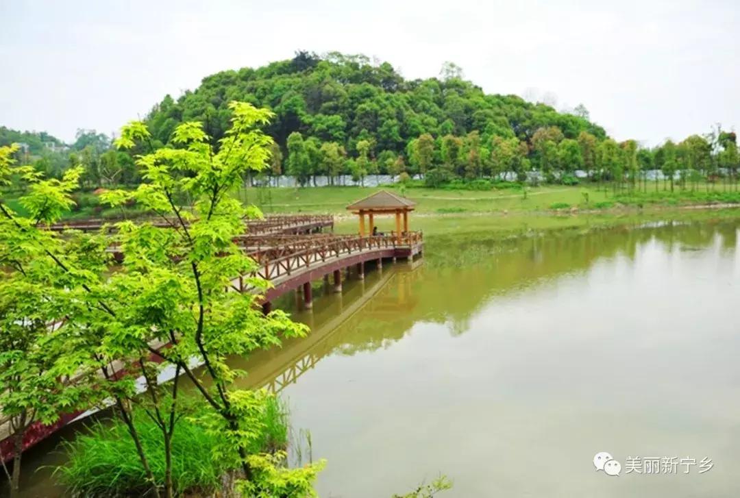 宁乡东雾山旅游景区,宁乡东澧山图片