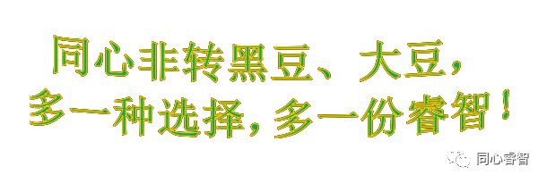 黑豆酱油和生抽有啥区别,黑豆酱油和黄豆酱油的区别