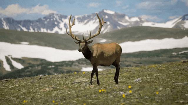 ppt为什么没有3d功能,ppt3d选项