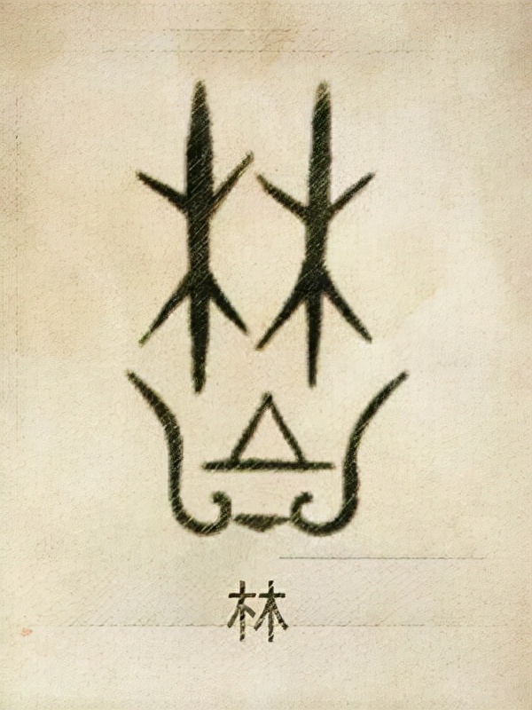 中华姓氏文化姓氏图腾大开眼界,中华姓氏的起源和姓氏图腾大全