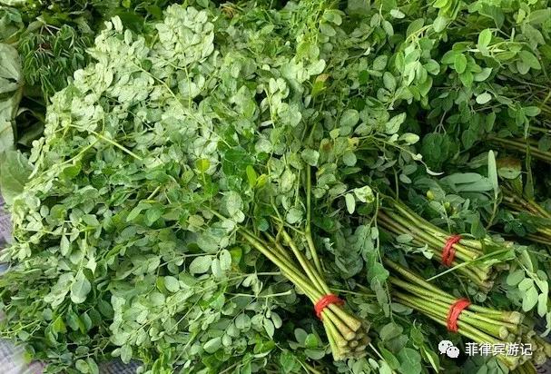 菲律宾青菜价格表,菲律宾蔬菜为什么那么贵