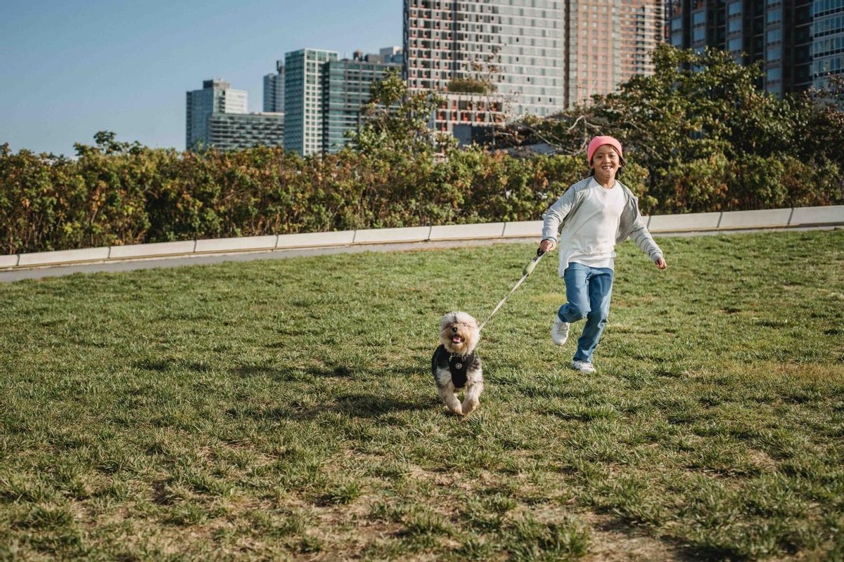 再苦也不要让孩子住宿,老师不建议孩子住校怎么办呢