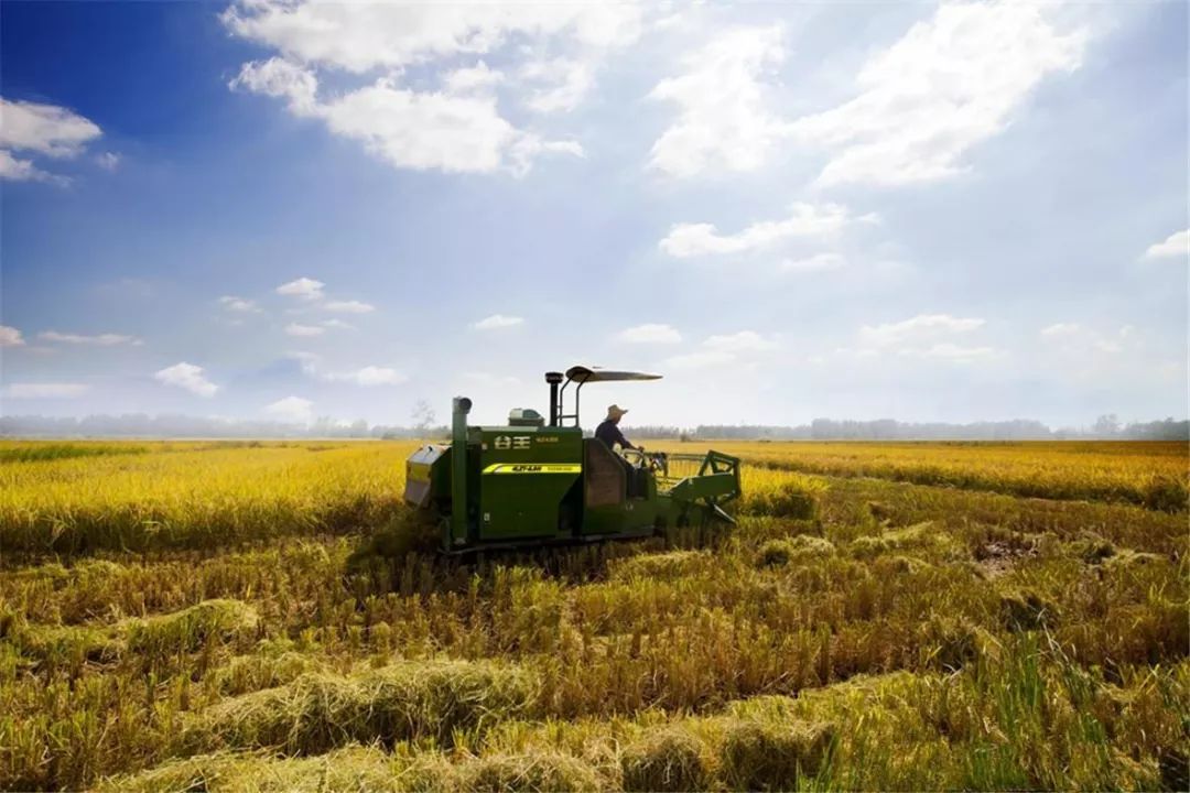 中联重科挖掘机崛起,中国农机公司中联重科