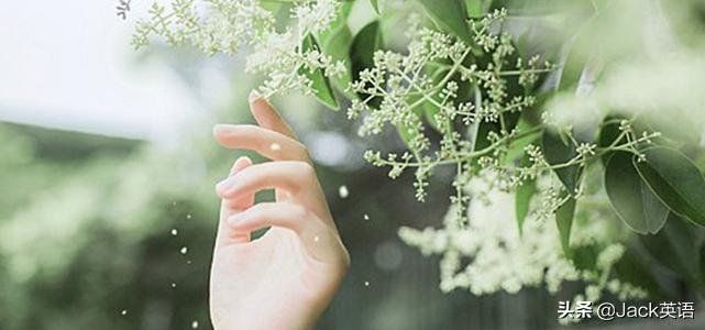 英式英语和美式英语用词区别,我们学的英式英语还是美式英语