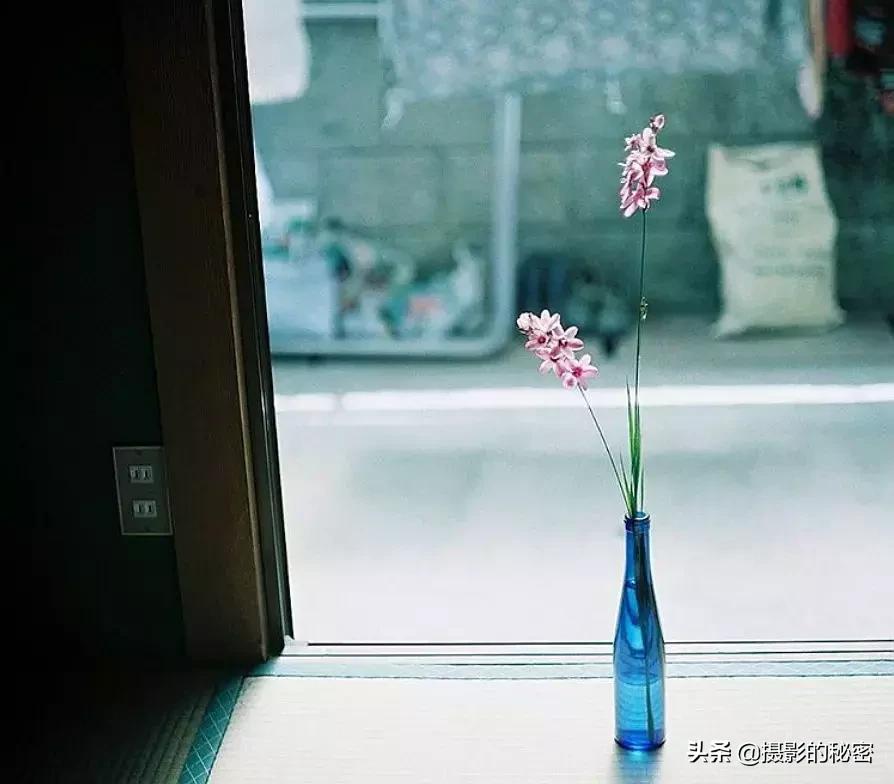 世界顶级摄影师的经典摄影作品,全球100位摄影师分享