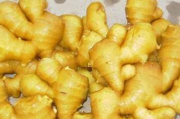 新鲜生姜可以直接晒干保存吗,怎样保存生姜还能天天吃到新鲜姜