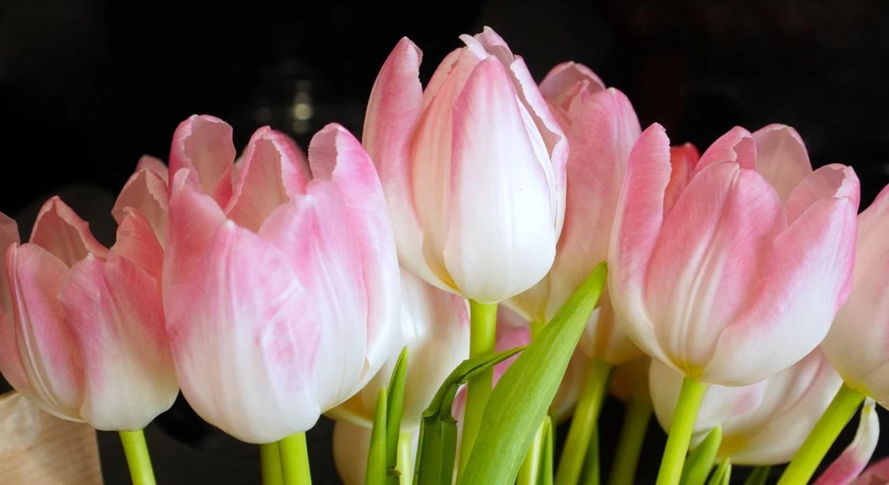 微信长按2秒有6种功能视频讲解,微信图标长按2秒功能没了怎么办