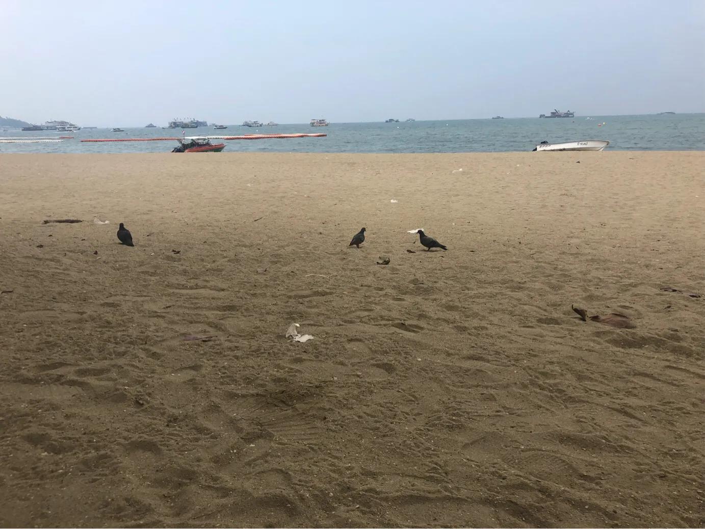 回忆泰国芭提雅,泰国芭提雅观感